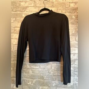 Aritzia Babaton Cropped Mock Neck